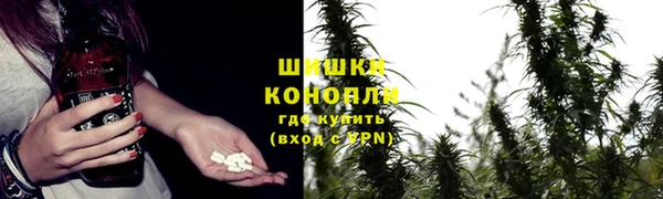 2c-b Карпинск