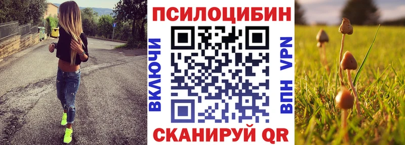 Псилоцибиновые грибы Cubensis  Купить закладки  Далматово 